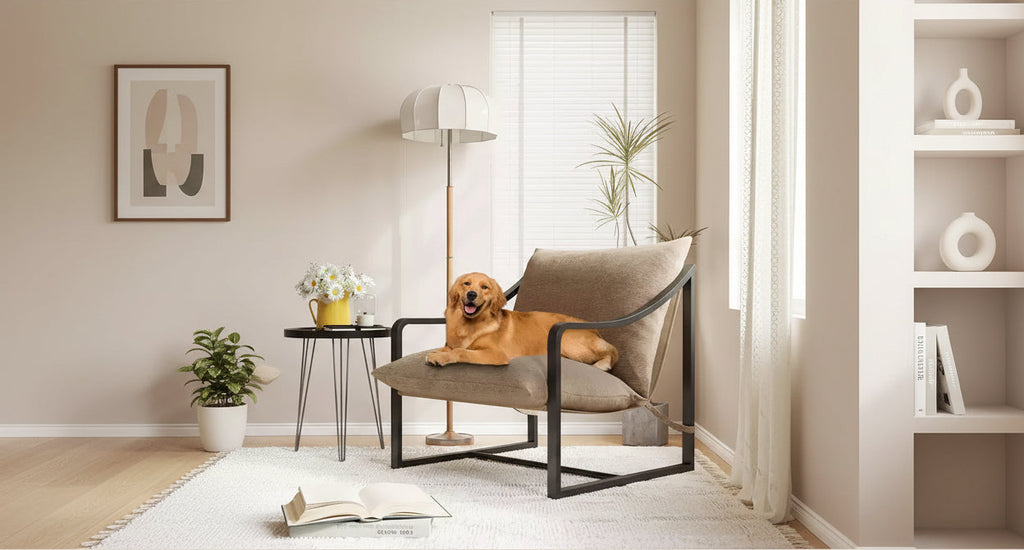 Fauteuil d'appoint moderne avec assise en toile, fauteuils de salon confortables en tissu avec cadre métallique robuste, fauteuil de lecture pour salon et chambre à coucher